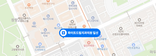 화이트드림치과의원 일산 약도